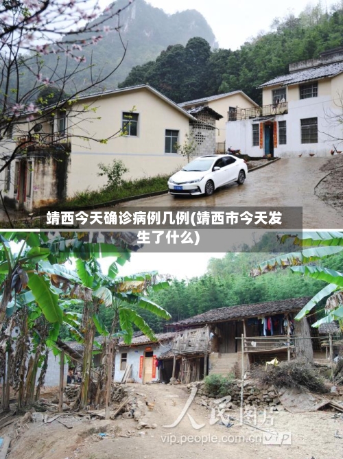 靖西今天确诊病例几例(靖西市今天发生了什么)-第1张图片