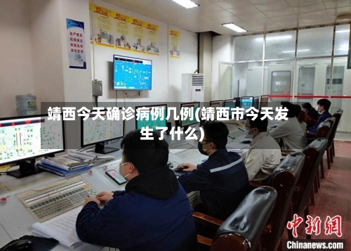 靖西今天确诊病例几例(靖西市今天发生了什么)-第3张图片