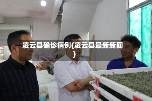 凌云县确诊病例(凌云县最新新闻)-第1张图片