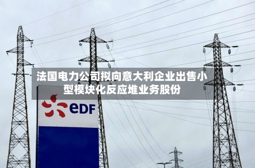 法国电力公司拟向意大利企业出售小型模块化反应堆业务股份-第1张图片