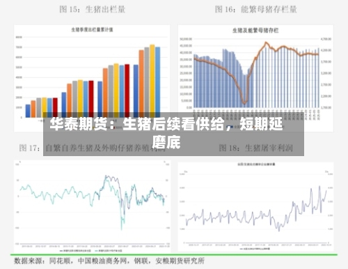 华泰期货：生猪后续看供给	，短期延磨底-第1张图片