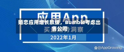 婚恋应用增长放缓	，Bumble考虑出售公司-第3张图片
