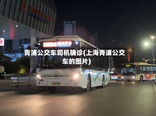 青浦公交车司机确诊(上海青浦公交车的图片)-第1张图片