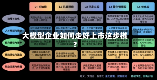大模型企业如何走好上市这步棋？-第1张图片