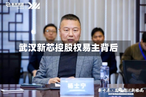 武汉新芯控股权易主背后-第1张图片